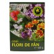 Ceai Flori de Fan 100g HYPERICUM